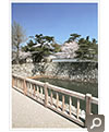 桜門と袖池